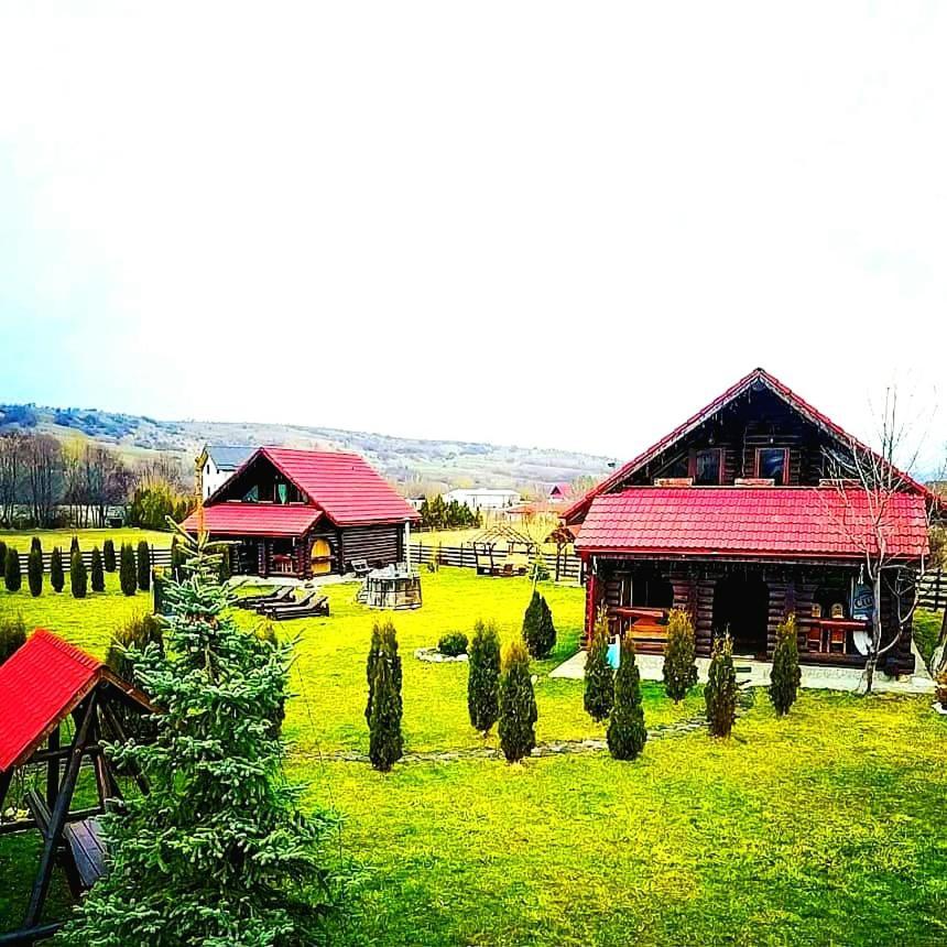 La Casute Bran Villa Bran  Ngoại thất bức ảnh