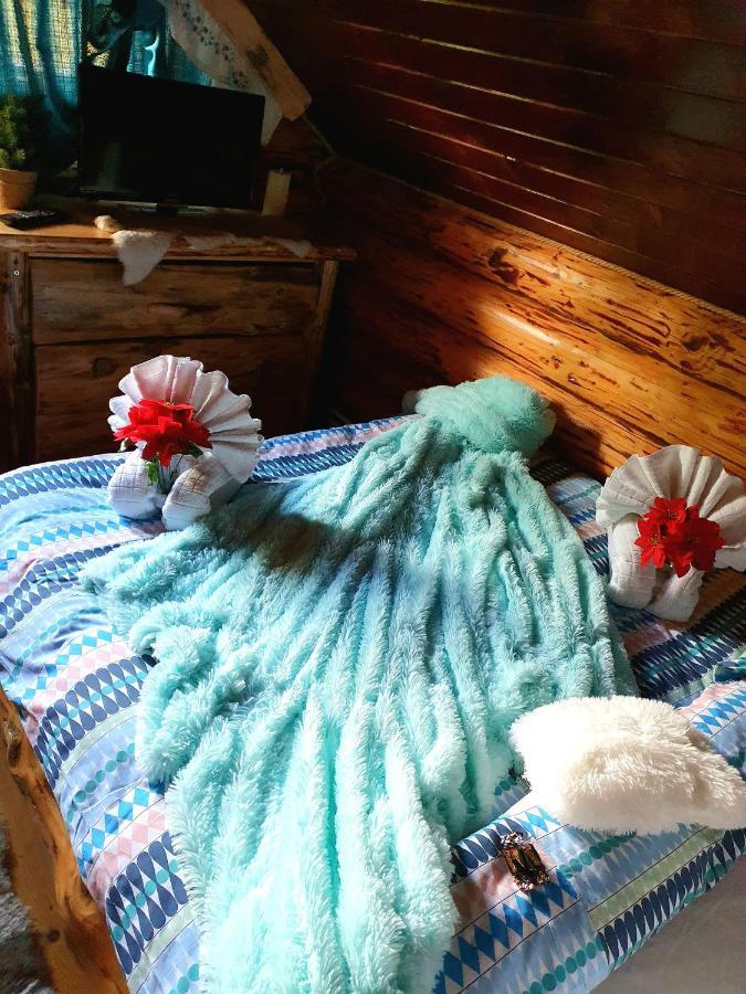 La Casute Bran Villa Bran  Ngoại thất bức ảnh